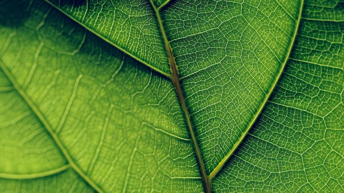 想要有效缓解焦虑，选择AI创作究竟靠谱吗？